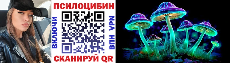 Купить закладки  Аргун  Псилоцибиновые грибы Magic Shrooms 